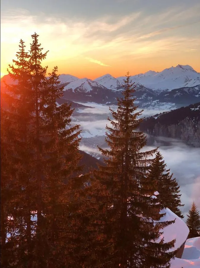 Le Sosna - Immodreams - Avoriaz Lejlighed 0*,